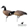 Canada goose decoys 6 pieces full body