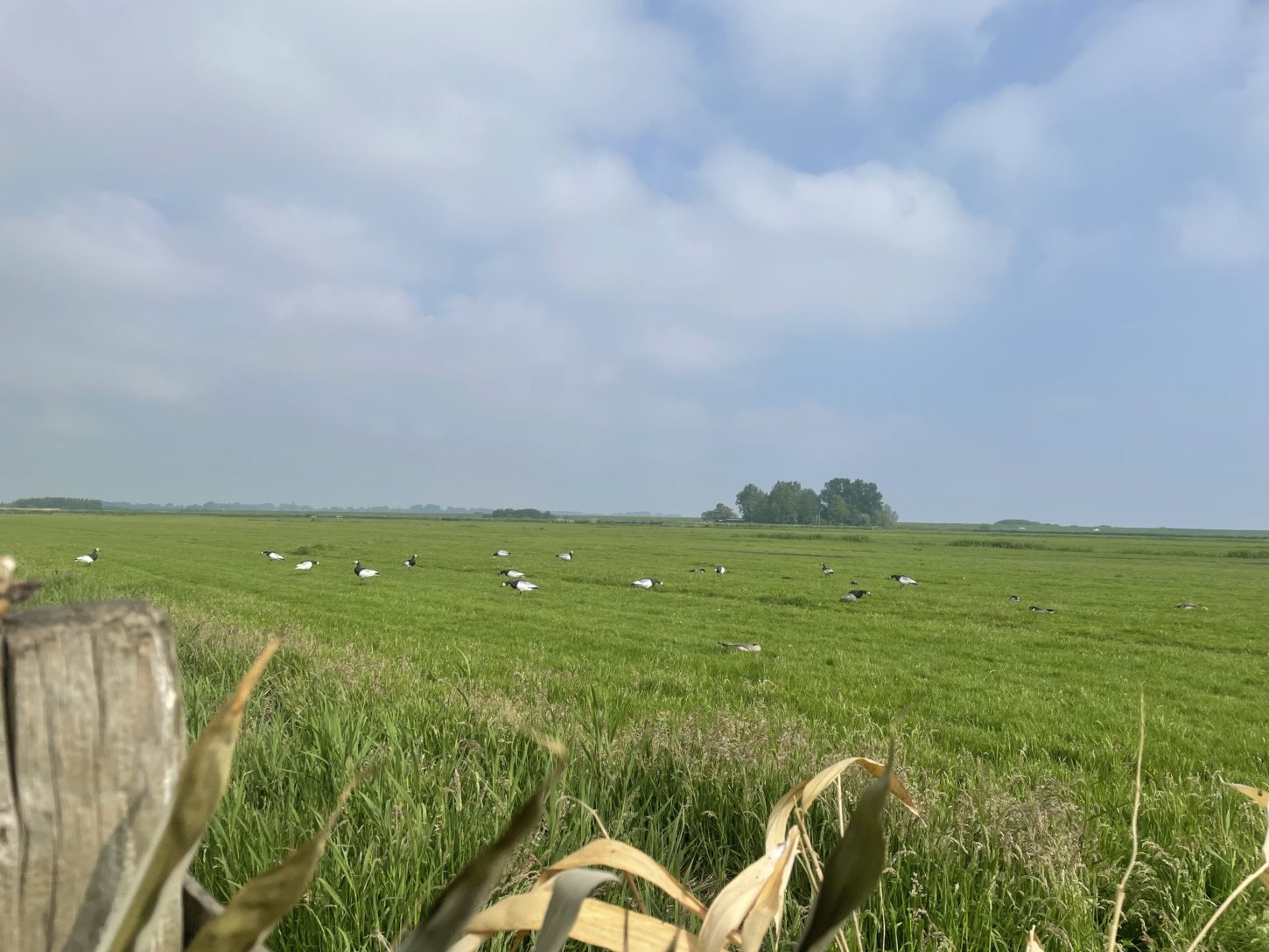 foto lokstal 4-min