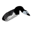 Barnacle goose sillosocks 6 pieces