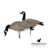 Elite series Canada decoys 6 pieces full body