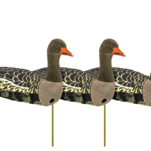 Greylag goose/white-fronted goose flocksox sillosocks
