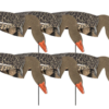 Greylag goose/white-fronted goose Sillosocks 12 pieces harvester pack