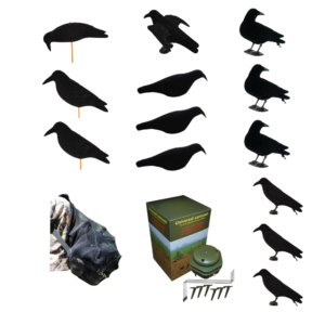 crow carousel package