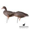 Greylag goose decoys full body flocked set of 6