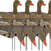 Greylag goose/white-fronted goose windsocks 6 pieces