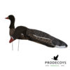 Greylag goose/white-fronted goose windsocks 6 pieces