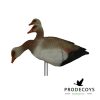 Egyptian goose decoys foamies 6 pieces
