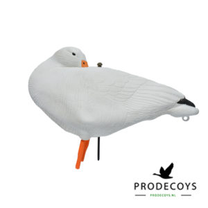 boerengans sleeper decoy