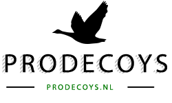 Prodecoys