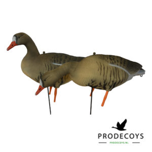 White-fronted goose decoy full body 