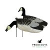 Barnacle goose windsock decoys 6 pieces