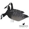 Barnacle goose decoys  foamies 12 pieces