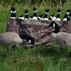 grauwe gans ganzenlokkers in lokkertas