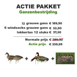 grauwe gans lokkers
