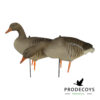 Greylag goose decoys 6 pieces full body