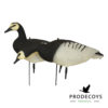 Barnacle goose decoys 6 pieces full body