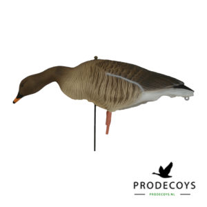bean goose  pink footed goose decoys feeding full body