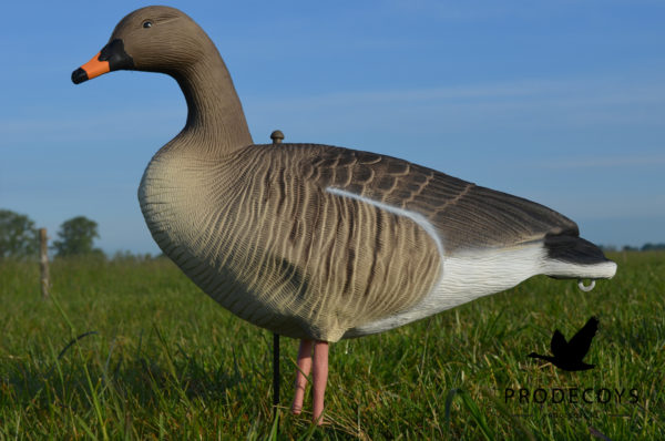 bean goose pink footed goose decoys full body