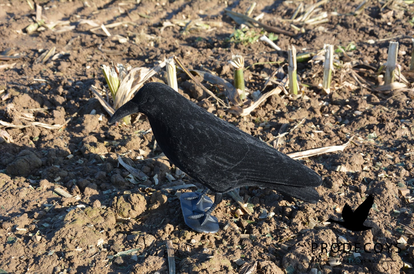 Floqué Crow Decoy corps plein Réaliste Corbeau antiparasitaire résistante plastique 
