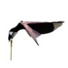 Sillosock Hypa-flap Canada goose