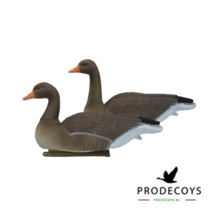 Greylag goose floaters full body 6 pieces