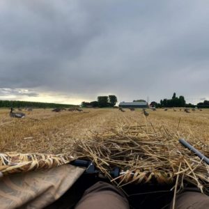 layout blind goose hunting
