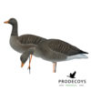 Elite series flocked greylag goose decoys 6 pieces full body