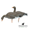 Elite series greylag goose decoys 6 pieces full body