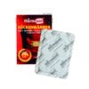 Thermopad body warmers per 10 pairs
