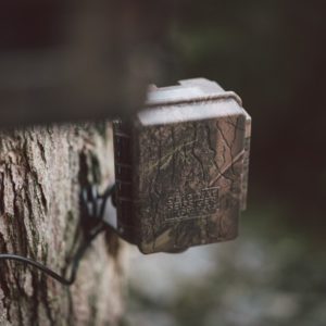External battery for wildlife cameras