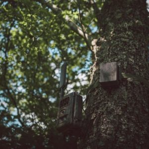 96dpi_WWW-CHRISTOF-WOLF-COM_SEISSIGER_1185_600x600