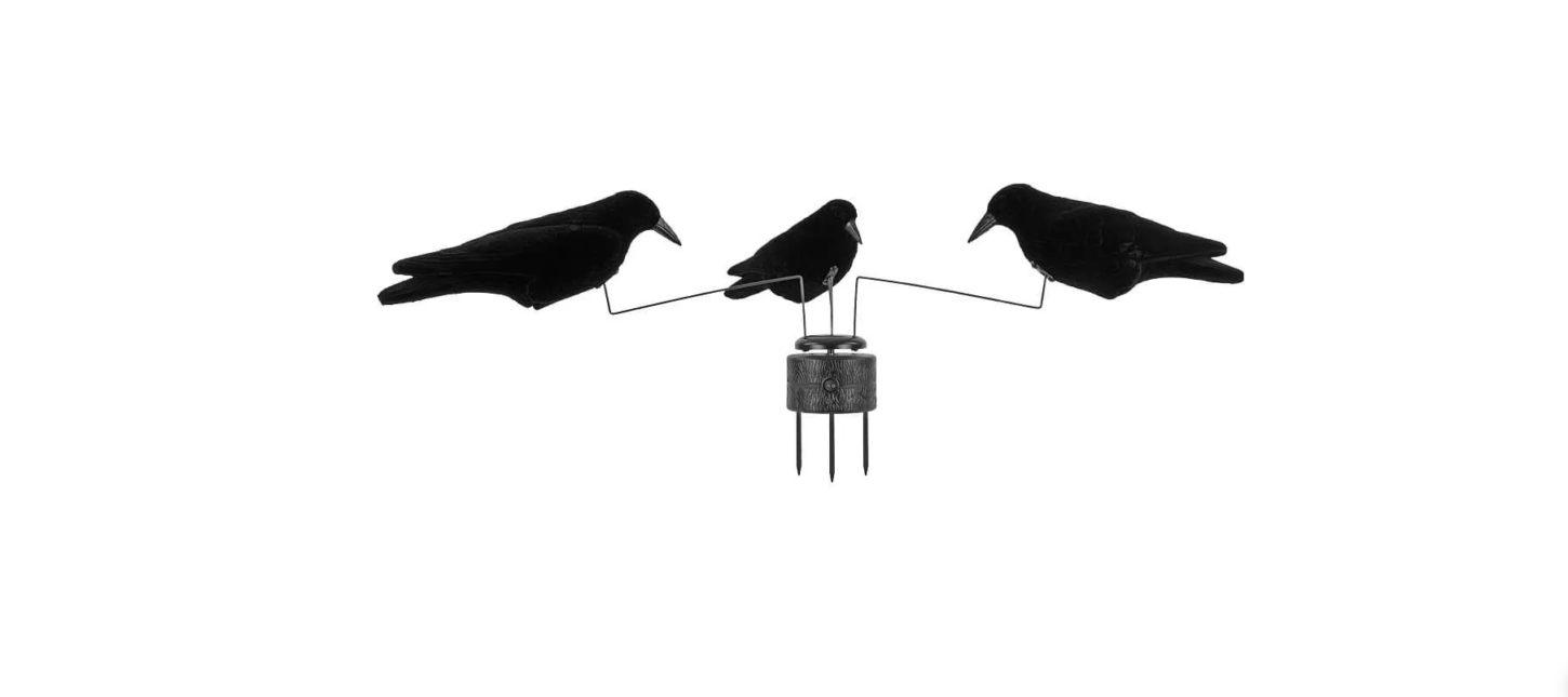 Screenshot 2024-11-11 204519