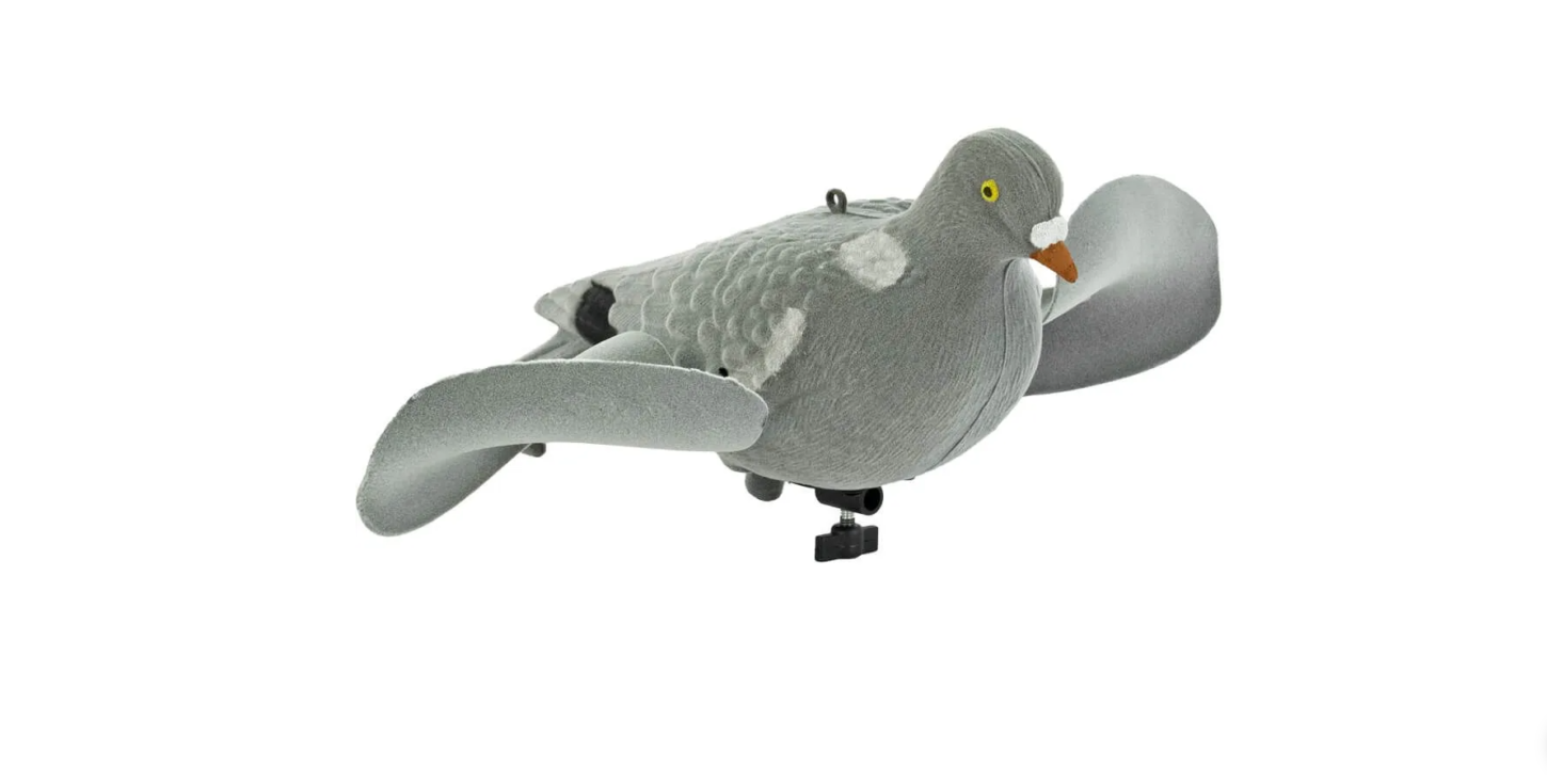 Screenshot 2024-11-11 205258