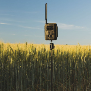 Tripod with ground pin for wildlife cameras