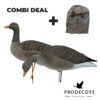 Elite series flocked greylag goose decoys 6 pieces full body (kopie)