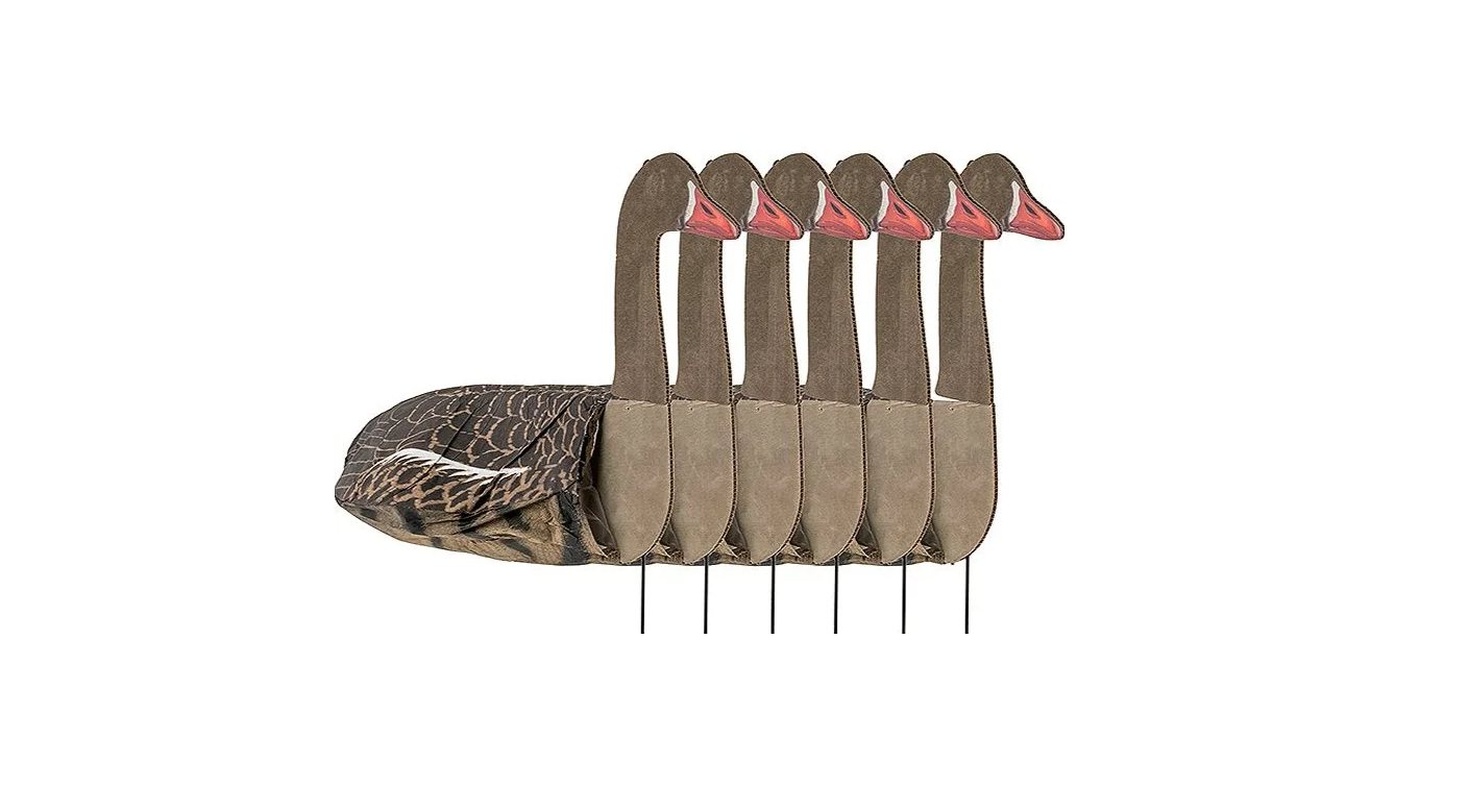 Screenshot 2024-12-22 204730