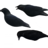 Final Approach Last pass crow decoy set of 3 pieces
