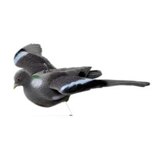 Decoy flying pigeon flocked fixed wings