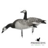 Elite series barnacle goose decoys 6 pieces full body
