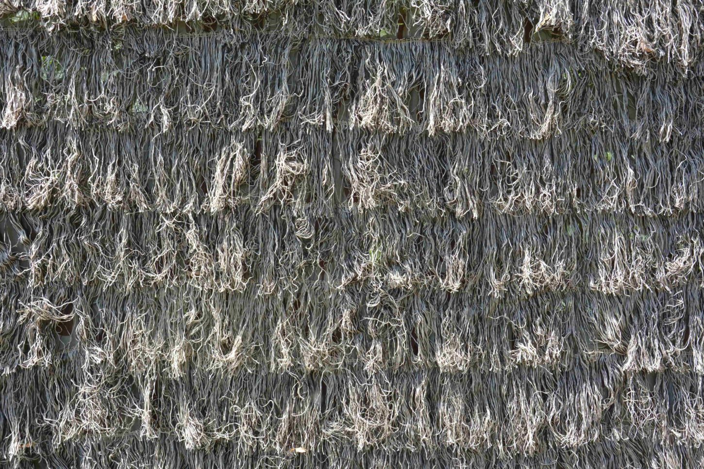 ghillie wheat 4 2-min_11zon