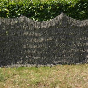 gillie green 4_11zon