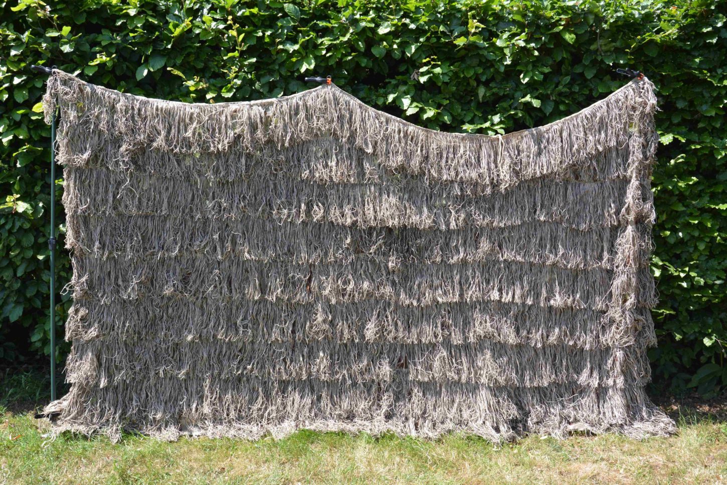 gillie wheat 3-min_11zon