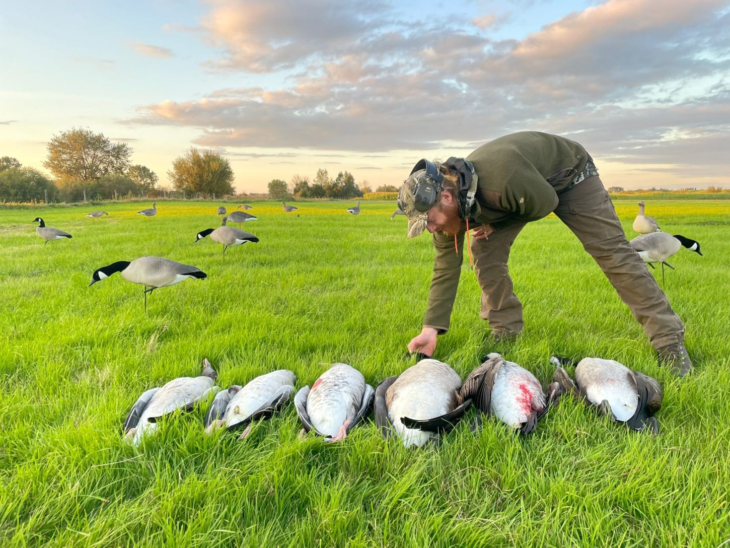 Afbeelding van WhatsApp op 2025-05-29 om 09.34.26_7e24d8d1