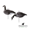 Caanadese goose silhouette decoys 6 pieces – 12 pieces