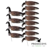Canada goose 2D windsock decoys 12 pieces