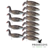 Grey goose 2D windsock decoys 12 pieces