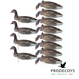 Grey goose 2D windsock decoys 12 pieces