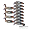 Nile goose 2D windsock decoys 12 pieces