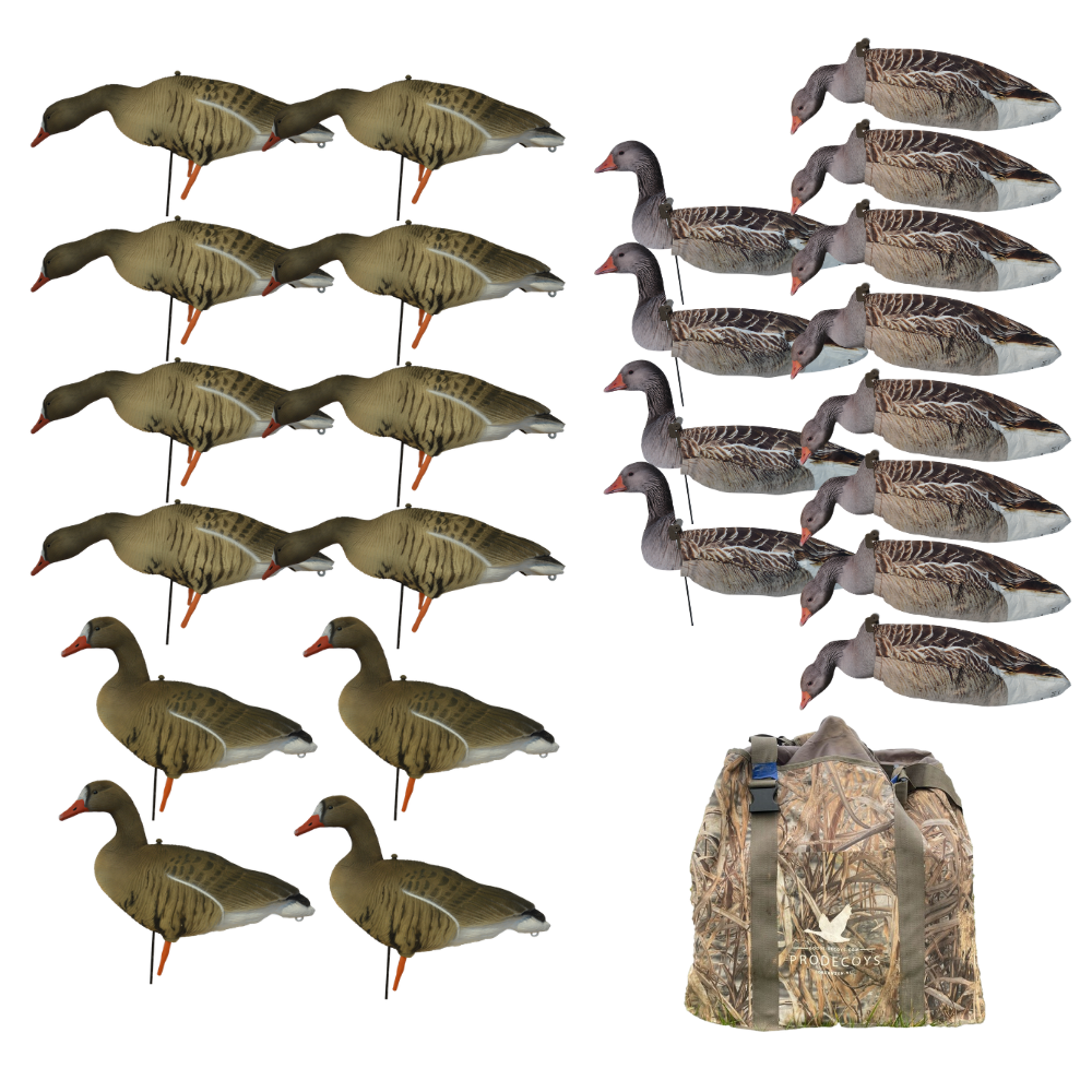 Value pack 12 pieces - Cola goose